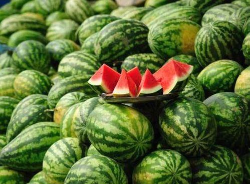 康县网红吃瓜事件,一场网络舆论的风暴与反思 第3张 康县网红吃瓜事件,一场网络舆论的风暴与反思 第3张